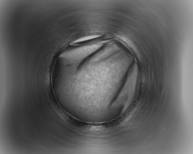 X0000088410401200706121418