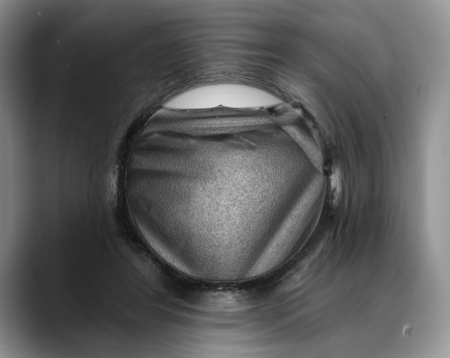 X0000088410404200706121418