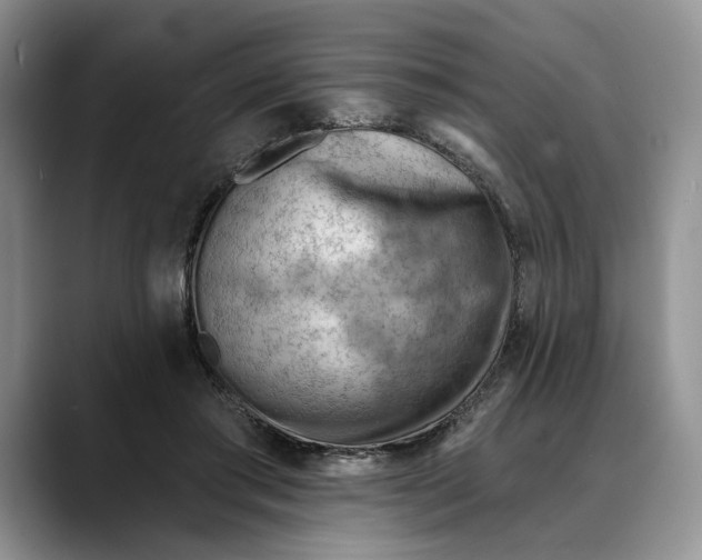 X0000088410405200706121418