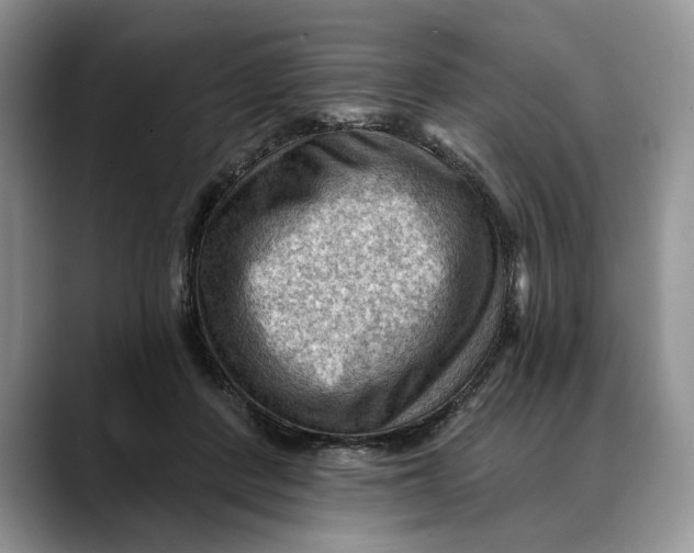 X0000088410408200706121418