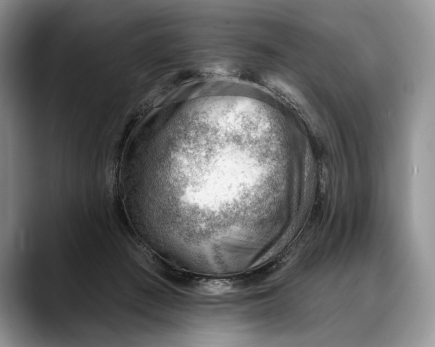 X0000088410409200706121418