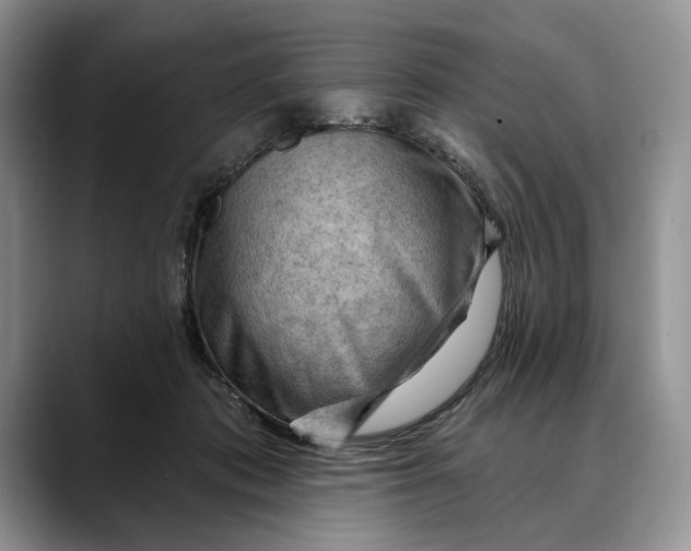 X0000088410413200706121418