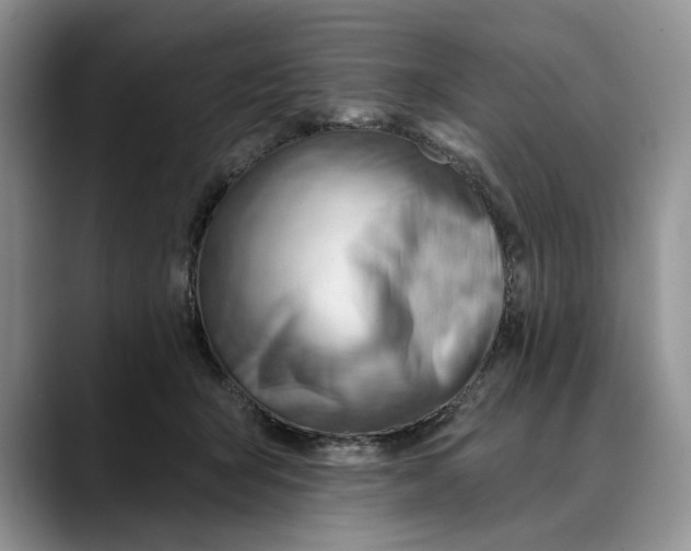 X0000088410415200706121418