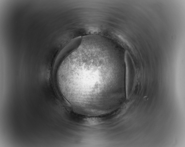 X0000088410417200706121418