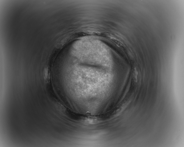 X0000088410420200706121418