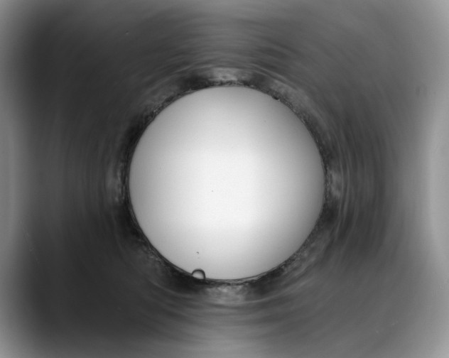 X0000088410422200706121418