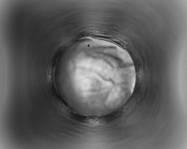 X0000088410423200706121418