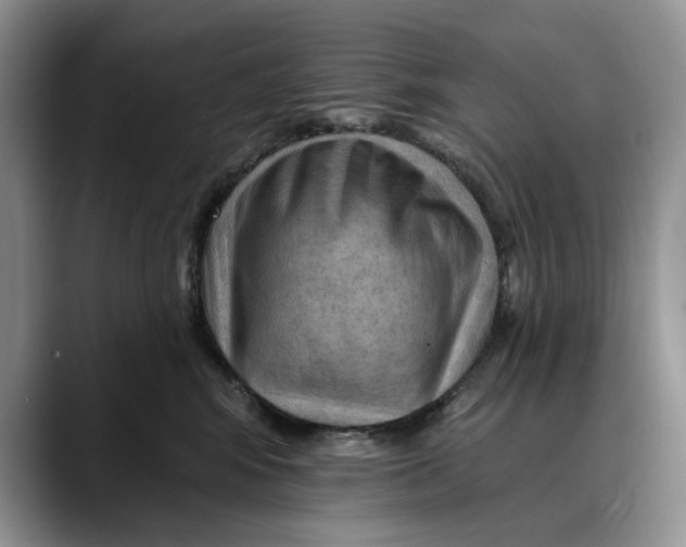 X0000088410424200706121418