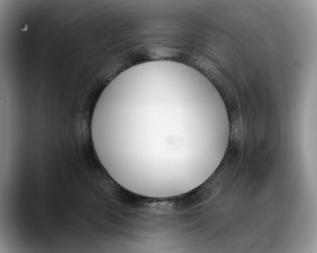 X0000088410426200706121418