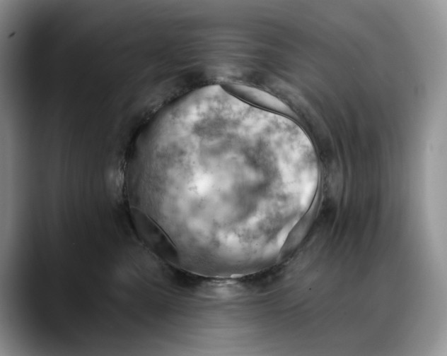 X0000088410427200706121418