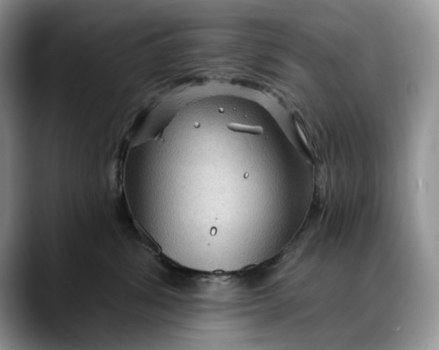 X0000088410428200706121418