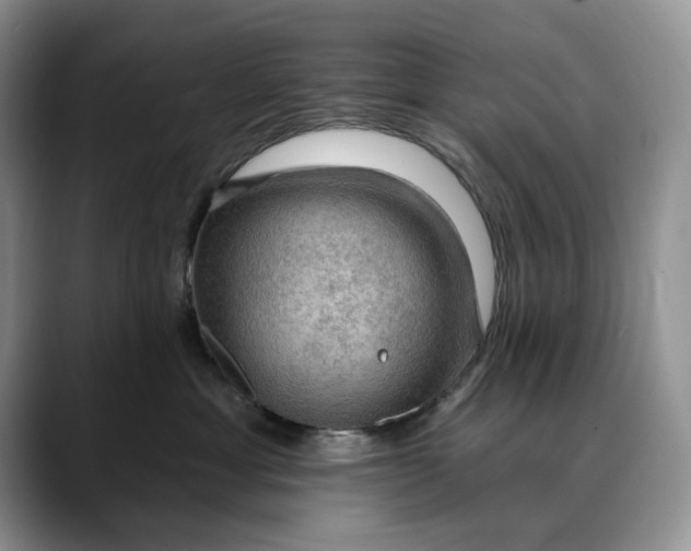 X0000088410429200706121418