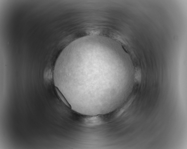 X0000088410431200706121418