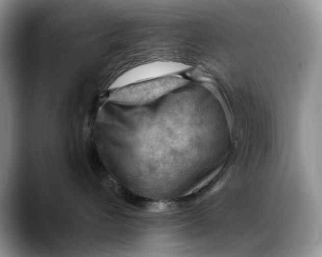 X0000088410432200706121418