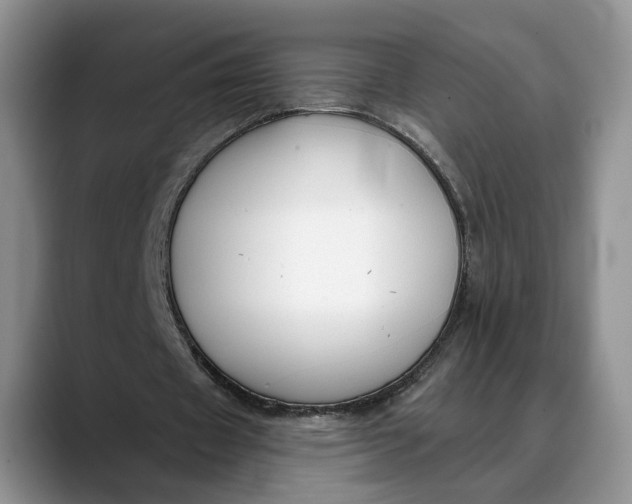 X0000088410433200706121417