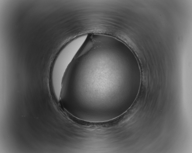 X0000088410434200706121417