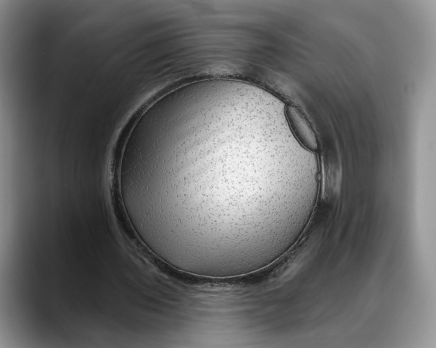 X0000088410435200706121417