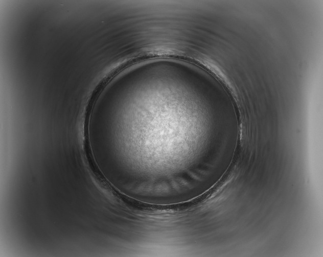 X0000088410438200706121417