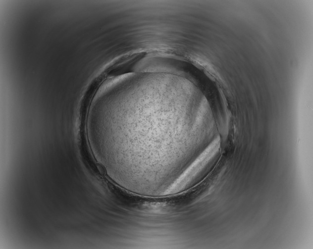 X0000088410440200706121417