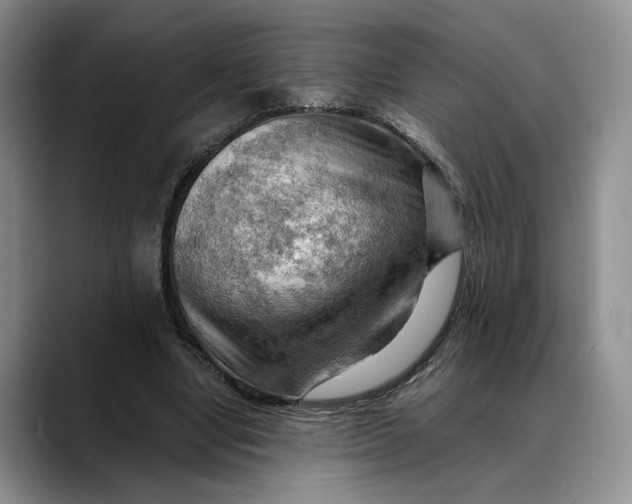 X0000088410442200706121417