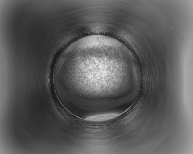 X0000088410443200706121417