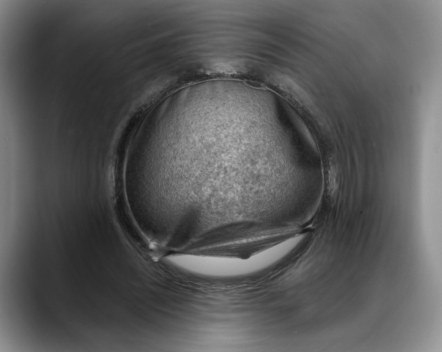 X0000088410444200706121417