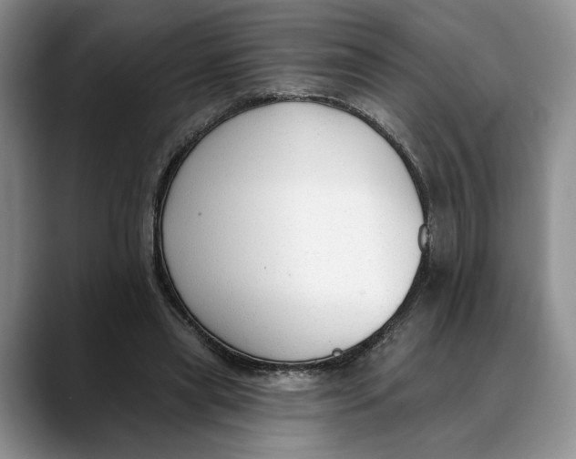 X0000088410445200706121417