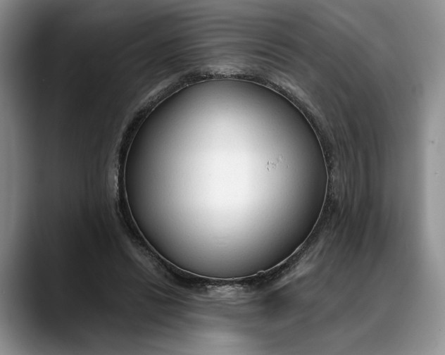 X0000088410446200706121417