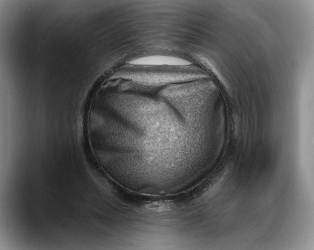 X0000088410447200706121417