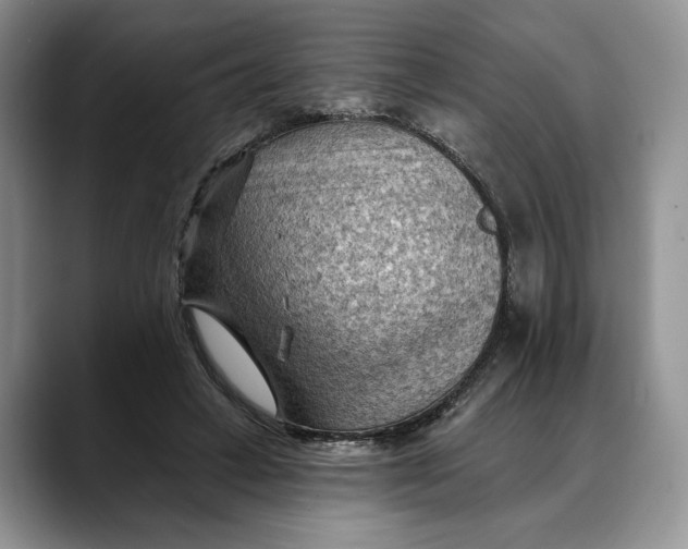 X0000088410449200706121417