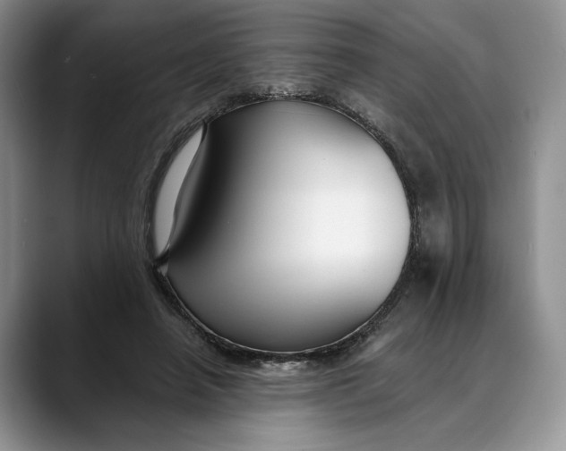 X0000088410450200706121417