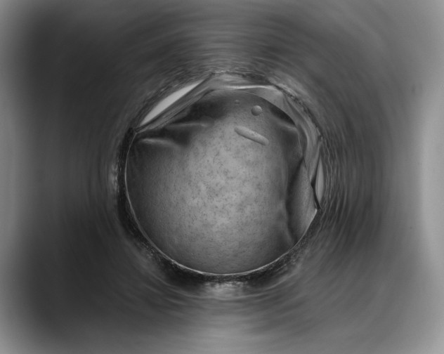 X0000088410452200706121417