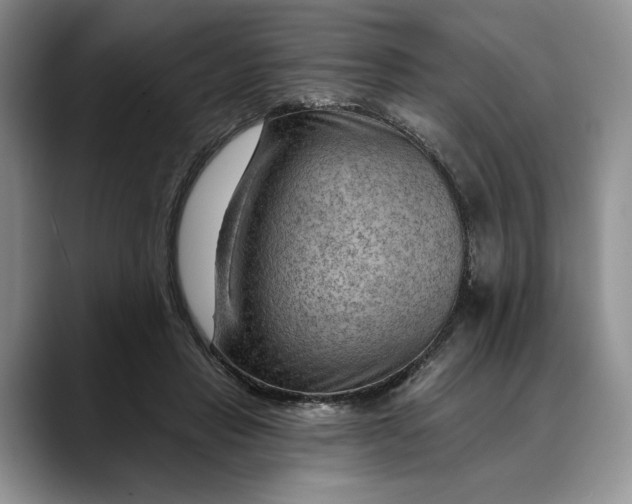 X0000088410453200706121417