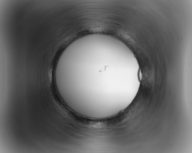 X0000088410454200706121417