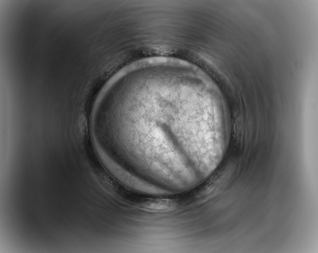 X0000088410459200706121417