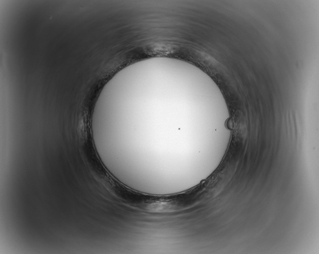 X0000088410460200706121417