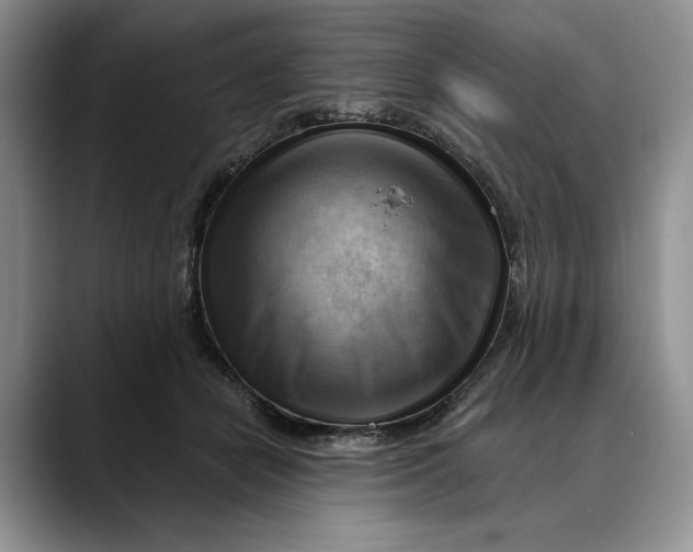 X0000088410462200706121417