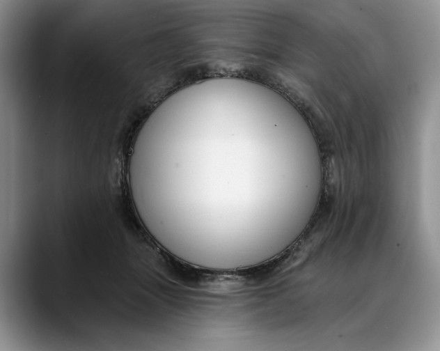 X0000088410463200706121417