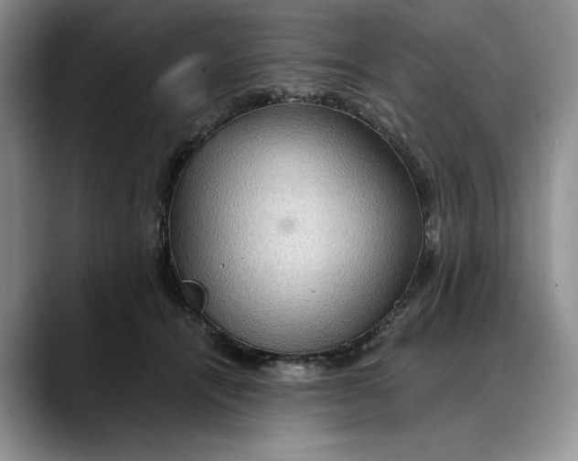 X0000088410464200706121417