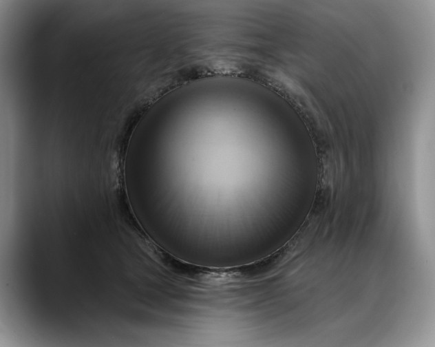 X0000088410465200706121418