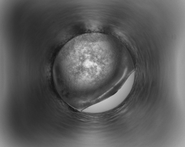 X0000088410466200706121418