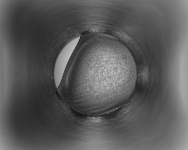 X0000088410469200706121418