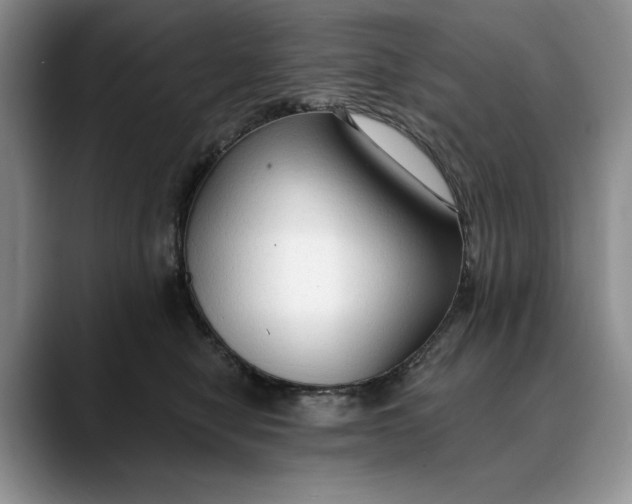 X0000088410470200706121418