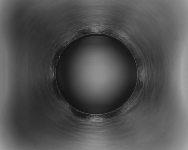 X0000088410471200706121418