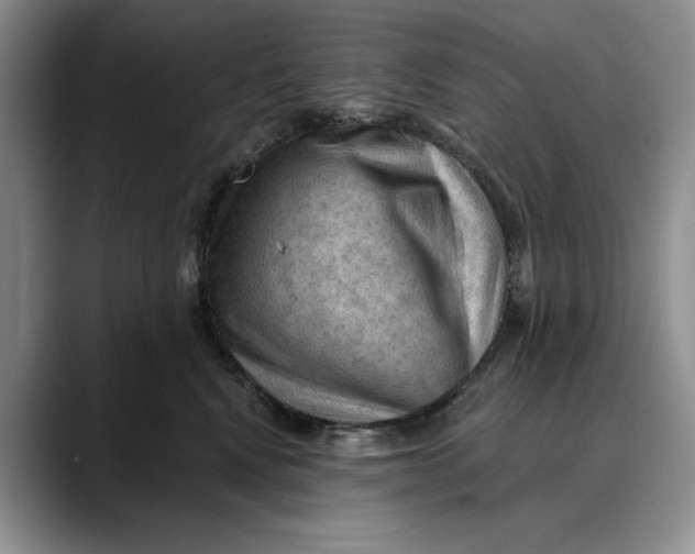 X0000088410472200706121418