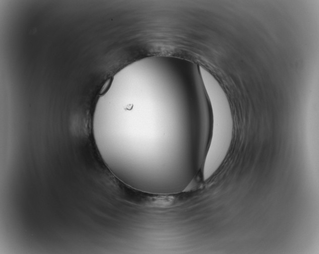 X0000088410474200706121418