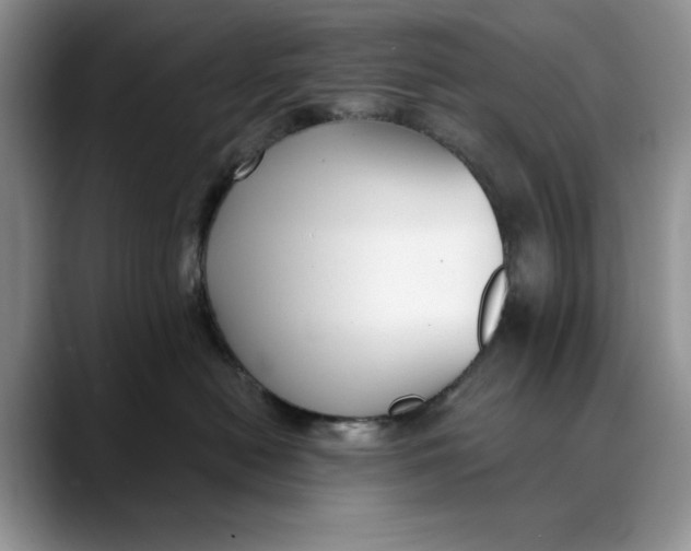 X0000088410478200706121418