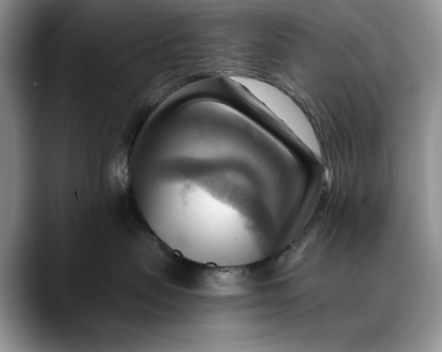 X0000088410479200706121418