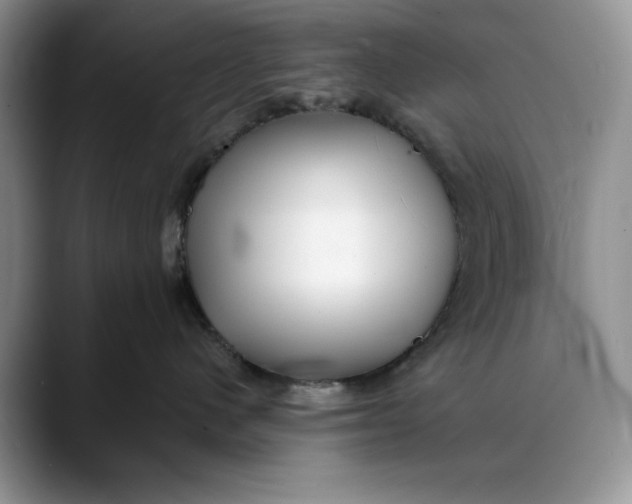 X0000088410480200706121418