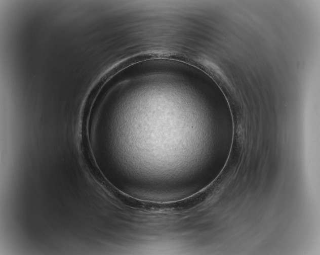 X0000088410484200706121417